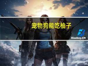 宠物狗能吃柚子