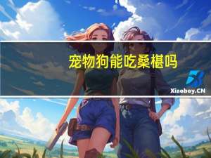 宠物狗能吃桑椹吗