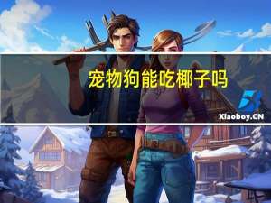 宠物狗能吃椰子吗