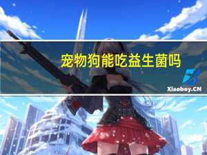 宠物狗能吃益生菌吗