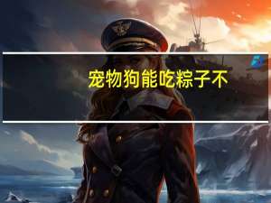 宠物狗能吃粽子不