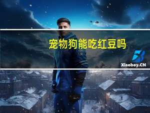 宠物狗能吃红豆吗