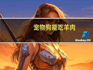 宠物狗能吃羊肉