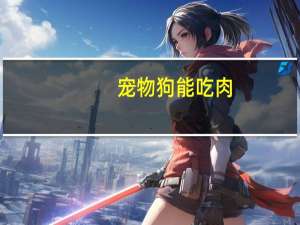 宠物狗能吃肉