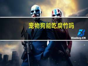 宠物狗能吃腐竹吗