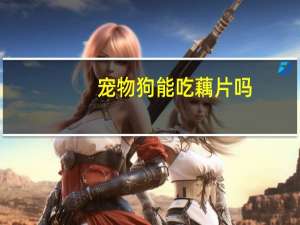 宠物狗能吃藕片吗