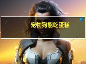 宠物狗能吃蛋糕