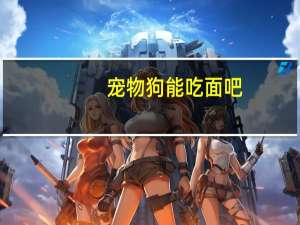 宠物狗能吃面吧