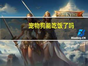 宠物狗能吃饭了吗