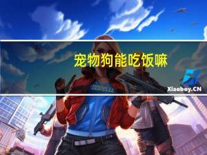 宠物狗能吃饭嘛