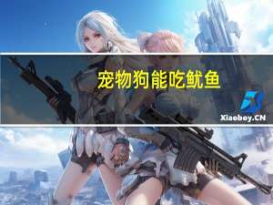 宠物狗能吃鱿鱼