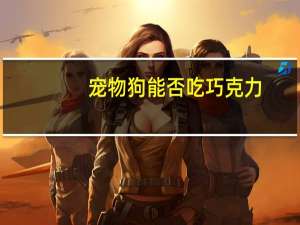 宠物狗能否吃巧克力