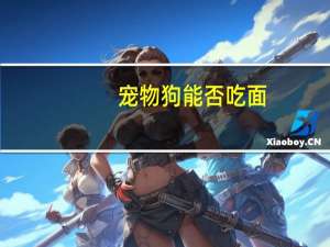 宠物狗能否吃面