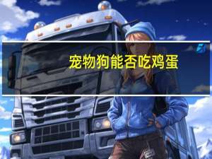 宠物狗能否吃鸡蛋