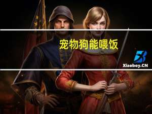 宠物狗能喂饭