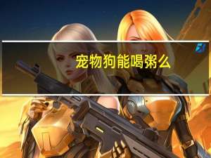 宠物狗能喝粥么