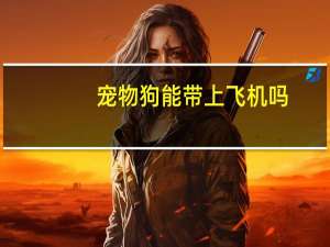 宠物狗能带上飞机吗