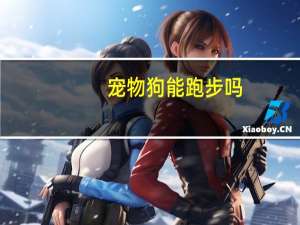 宠物狗能跑步吗