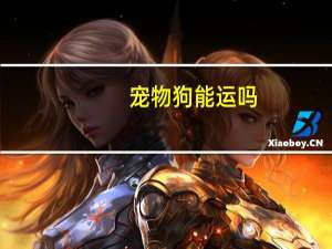 宠物狗能运吗