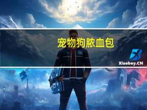 宠物狗脓血包