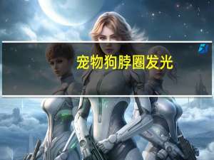 宠物狗脖圈发光