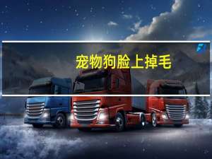 宠物狗脸上掉毛