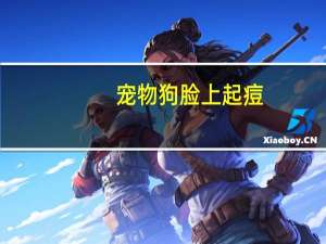 宠物狗脸上起痘