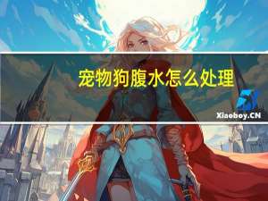 宠物狗腹水怎么处理