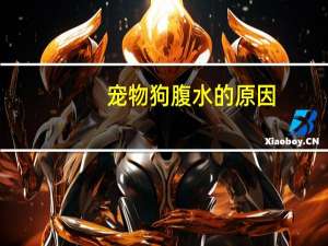 宠物狗腹水的原因