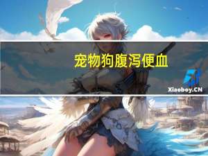 宠物狗腹泻便血