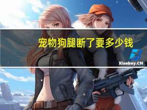 宠物狗腿断了要多少钱