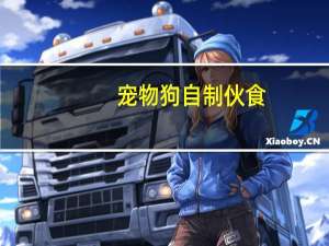 宠物狗自制伙食