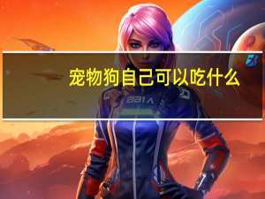 宠物狗自己可以吃什么