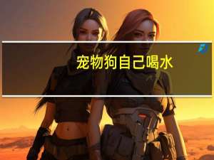 宠物狗自己喝水