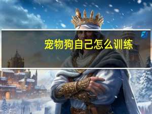 宠物狗自己怎么训练