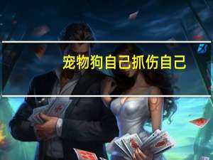 宠物狗自己抓伤自己