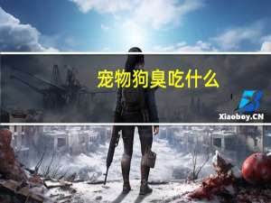 宠物狗臭吃什么
