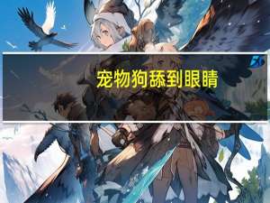 宠物狗舔到眼睛