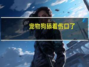 宠物狗舔着伤口了