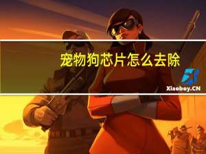 宠物狗芯片怎么去除