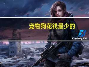 宠物狗花钱最少的