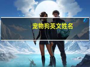 宠物狗英文姓名