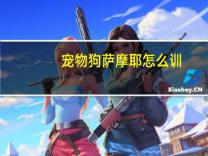宠物狗萨摩耶怎么训