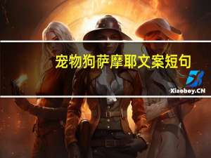 宠物狗萨摩耶文案短句