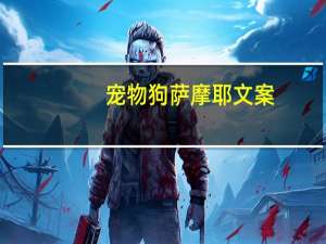 宠物狗萨摩耶文案