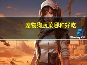 宠物狗蔬菜哪种好吃