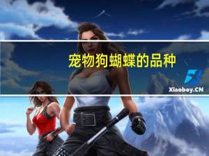 宠物狗蝴蝶的品种
