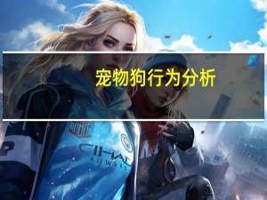 宠物狗行为分析