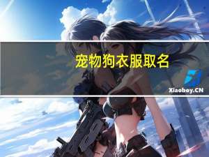 宠物狗衣服取名