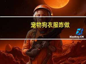 宠物狗衣服咋做